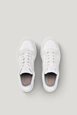 Ace '91 — Sneakers Dam/Herr